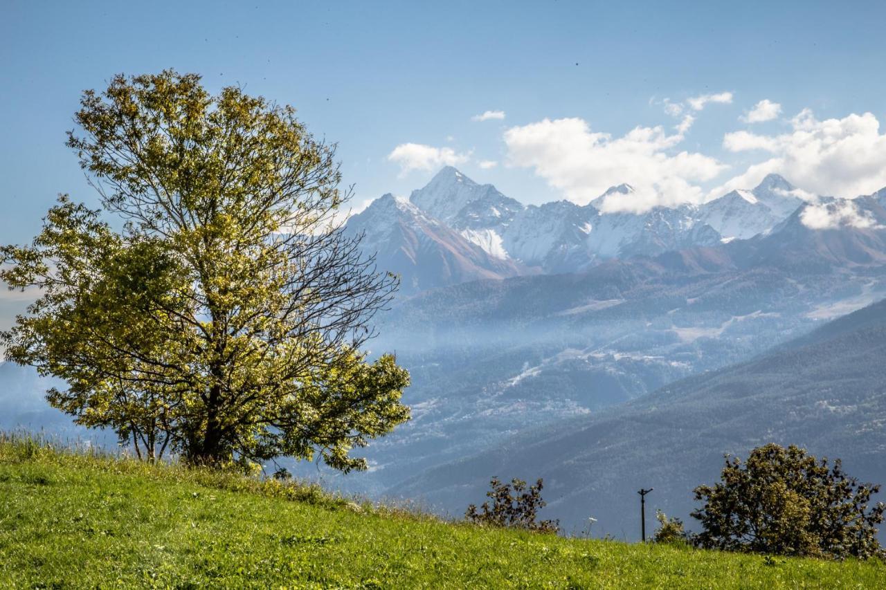 Hotel, Bar & Bistrot Saint Nicolas Gran Paradiso ภายนอก รูปภาพ